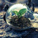 Climate Emergency