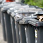 Refuse Collection