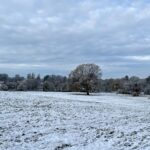 Abbey Fields