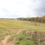 Tachbrook Country Park